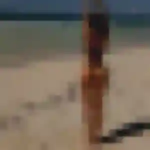 Profil de Coralie à Cormelles-le-Royal (36 ans) - plan cul sans inscription