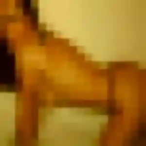 Djamila, 22 ans, cherche un plan cul à Cormelles-le-Royal