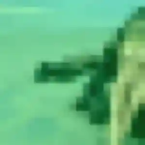 Photo exclusive de Maya, 43 ans à Corpeau - plan discret