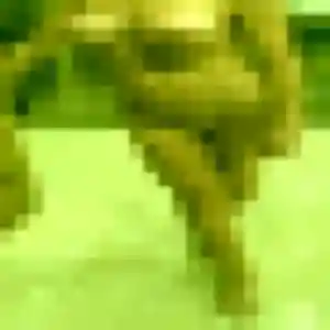 Photo de Inaya à Couëron (29 ans) - plan cul discret