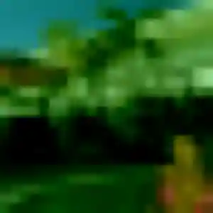 Nina, femme de 34 ans cherche plan cul à Coulanges-la-Vineuse