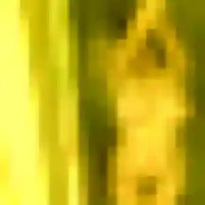 Photo exclusive de Prisca, 34 ans à Coulanges-lès-Nevers - rencontre coquine