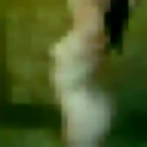 Edith, femme de 44 ans veut plan cul à Coume