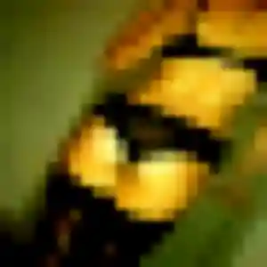 Paulette, 33 ans, dispo pour plan cul à Courtois-sur-Yonne