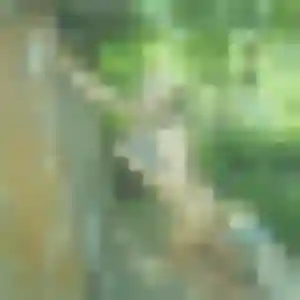 Lise, 42 ans, dispo pour plan cul à Coutances