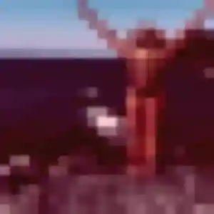 Lola (30 ans) à Crêts en Belledonne cherche une rencontre aujourd'hui