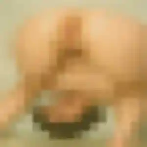 Anna, 32 ans, dispo pour plan cul à Criquetot-l'Esneval