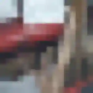 Profil de Iris à Criquetot-l'Esneval (44 ans) - plan cul gratuit