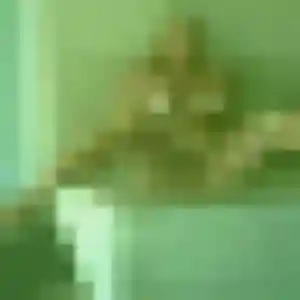 Sexy Audrey, 39 ans à Croignon - la contacter