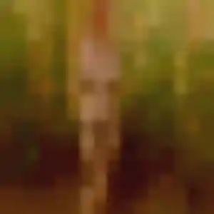 Heloise, 24 ans, dispo pour plan cul à Croisilles