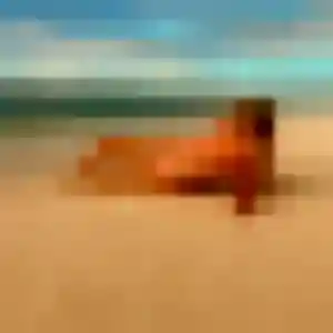 Romane, 42 ans, dispo pour plan cul à Cublize