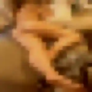 Myriam de Cussey-sur-l'Ognon, 45 ans - plan cul en toute liberté