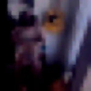 Belle Daphne, 25 ans à D'Huison-Longueville - découvrir son profil