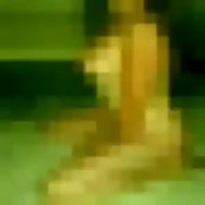 Photo de Constance à Divion (34 ans) - plan cul gratuit