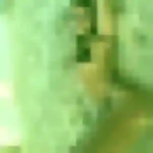 Photo de Prune à Dolmayrac (25 ans) - plan cul anonyme