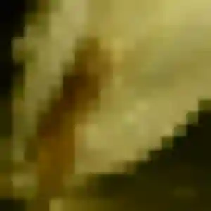 Rejoins Ludivine, 25 ans à Dorlisheim en privé