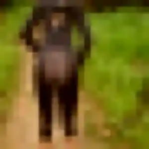 Photo de Amelie à Dornes (39 ans) - plan cul gratuit