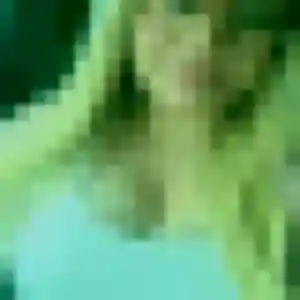 Sandrine, 31 ans, connectée à Dornes pour une rencontre coquine