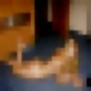 Emilie, 43 ans, connectée à Douelle pour une rencontre coquine