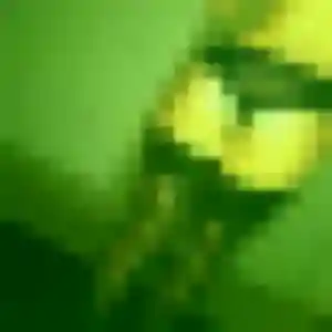 plan cul à Doyet : photo de Beatrice, 43 ans - accès libre