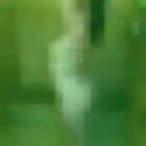 Profil de Elsa à Duhort-Bachen (34 ans) - plan cul sans inscription