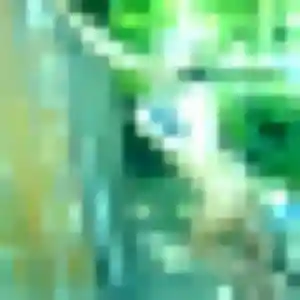 Photo privée de Zora, 28 ans à Ebblinghem - plan discret