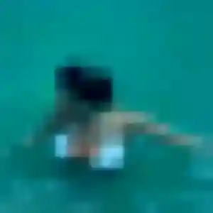 Marie, 36 ans, disponible à Écaillon pour une rencontre coquine