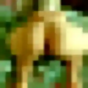 Photo exclusive de Axelle, 36 ans à Éloise - rencontre coquine