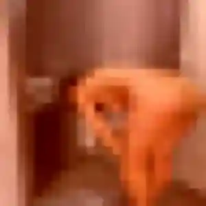 Morgane, 28 ans, disponible à Émanville pour une rencontre coquine