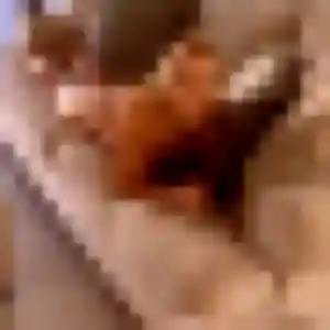 Ximena, 36 ans, disponible à Ennevelin pour un plan cul