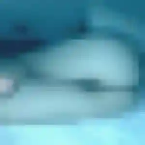 Veronique, 28 ans, en ligne à Entrains-sur-Nohain pour un plan cul