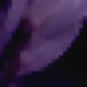 Photo privée de Stephanie, 39 ans à Épieds - plan discret