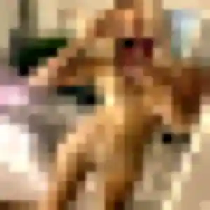 Contacte Lilou, 27 ans à Épinal en privé