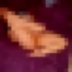 Photo privée de Yasmine, 30 ans à Espelette - rencontre coquine