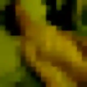 Mia, 45 ans, connectée à Étainhus pour une rencontre coquine