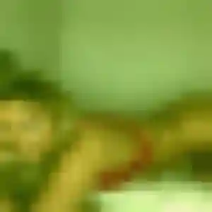 Charlotte, 26 ans, disponible à Étais-la-Sauvin pour une rencontre coquine