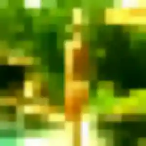 Albane, 32 ans, en ligne à Eurville-Bienville pour un plan cul