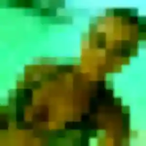 Rejoins Morgane, 25 ans à Farges-en-Septaine en privé