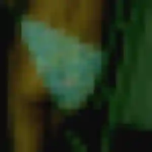 Jolie Paulette, 43 ans à Fargues-Saint-Hilaire - voir sa photo