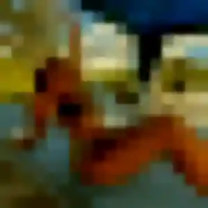 plan cul à Flins-sur-Seine : photo de Octavie, 22 ans - inscription gratuite