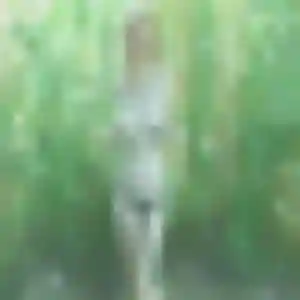 Sixtine, fille de 35 ans propose plan cul à Florac Trois Rivières