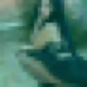 Charmante Georgette, 37 ans à Foëcy - voir sa photo