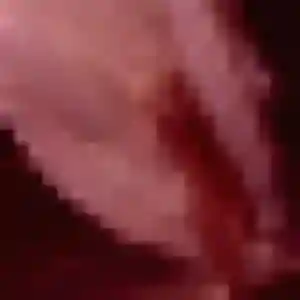 Charmante Madeleine, 24 ans à Follainville-Dennemont - voir sa photo