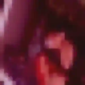 Rejoins Quitterie, 45 ans à Fontaines-en-Sologne en t'inscrivant