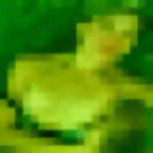 plan cul à Fontenay-en-Parisis : photo de Emma-Rose, 42 ans - inscription gratuite