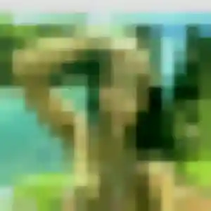 Photo de Lise à Fort-Mahon-Plage (45 ans) - plan cul anonyme