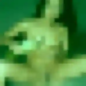 Photo de Alicia à Fourmies (40 ans) - plan cul anonyme