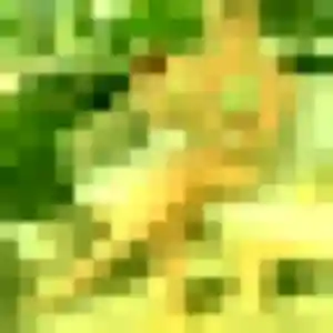 Severine de Fragnes-La Loyère, 30 ans - plan cul sans prise de tête