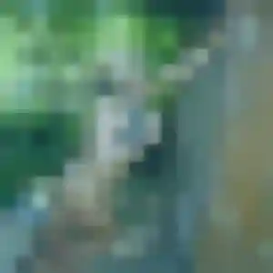 Profil de Georgette à Fronsac (42 ans) - plan cul gratuit