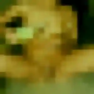 Katia, femme de 41 ans cherche plan cul à Gabarret